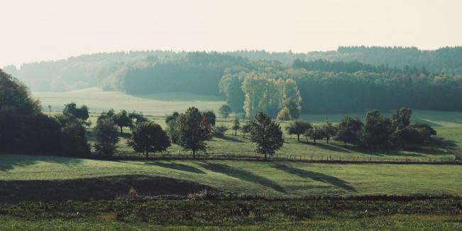 Hospizgeschichte Baden-Württemberg. - Bild: pixabay